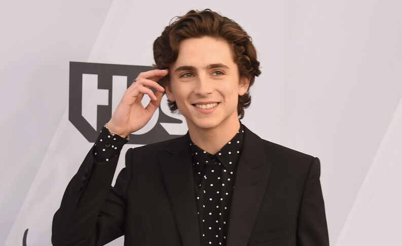 Timothée Chalamet será Bob Dylan en una Biopic